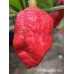 7-Pot Mama Gum Red Pepper Seeds 
