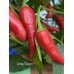 Large Pequin Pepper Seeds 
