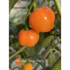 APS Hot Orange Cherry Pepper Seeds 