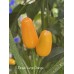 Pequin Large Orange Pepper Seeds 