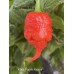 Kaos Purple Reaper Pepper Seeds Kaos Purple Reaper Pepper Seeds