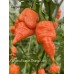 Carolina Reaper Orange Long Pepper Seeds Carolina Reaper Orange Long Pepper Seeds