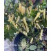APS White Hot Finger Pepper Seeds 