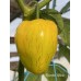 Rocoto Yellow Pepper Seeds Rocoto Yellow Pepper Seeds