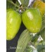 Rocoto Yellow Pepper Seeds Rocoto Yellow Pepper Seeds