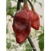 7-Pot Bubble Gum Dream Pepper Seeds