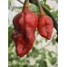 7-Pot Bubble Gum Dream Pepper Seeds