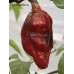 7-Pot Bubble Gum Dream Pepper Seeds