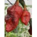 7-Pot Bubble Gum Dream Pepper Seeds