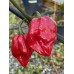 APS Purple 7-Pot Cross Pepper Seeds APS Purple 7-Pot Cross Pepper Seeds