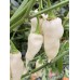 Devils Tongue White Pepper Seeds