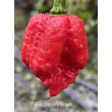 7-Pot Dragon's Breath Pepper Seeds