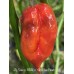 Jig Saw x BBM x Yaki Blue Fawn Pepper Seeds 