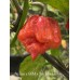 Jig Saw x BBM x Yaki Blue Fawn Pepper Seeds 