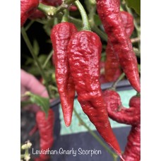 Leviathan Gnarly Scorpion Pepper Seeds