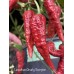 Leviathan Gnarly Scorpion Pepper Seeds
