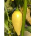 Coyote White Pepper Seeds 