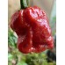 Carolina Reaper x Puma Pepper Seeds	
