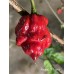 Carolina Reaper x Puma Pepper Seeds	