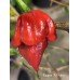 Carolina Reaper x Puma Pepper Seeds	