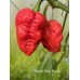 Genkis Khan Brain Pepper Seeds Genkis Khan Brain Pepper Seeds