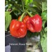 Habanero Hawaii Beach Pepper Seeds Habanero Hawaii Beach Pepper Seeds