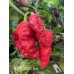 BBMx SRM3 Red Pepper Seeds