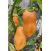Cheiro Do Norte Pepper Seeds Cheiro Do Norte Pepper Seeds
