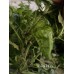 7-Pot Pickle Pepper Seeds 