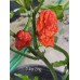 7-Pot Zing Pepper Seeds 