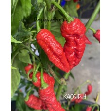 KAOS Red Pepper Seeds KAOS Red Pepper Seeds