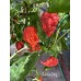7-Pot Zing Pepper Seeds 