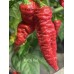 KAOS Red Pepper Seeds KAOS Red Pepper Seeds