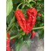 KAOS Red Pepper Seeds KAOS Red Pepper Seeds
