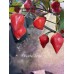 Biquinho Purple Pepper Seeds Biquinho Purple Pepper Seeds