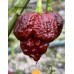 7-Pot Primo x Bhutlah Chocolate Pepper Seeds 
