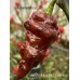 Ghost Purple Chocolate Pepper Seeds 