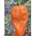 APS Orange 7 Pot Cross Pepper Seeds 