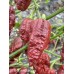 APS Ghost Chocolate Pepper Seeds APS Ghost Chocolate Pepper Seeds
