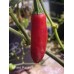 Serrano Huasteco Pepper Seeds