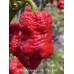 Carolina Reaper x Pink Tiger Red Pepper Seeds 
