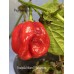 Isabela Island Habanero Pepper Seeds Isabela Island Habanero Pepper Seeds