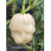 APS White Snow Ball Pepper Seeds APS White Snow Ball Pepper Seeds
