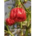 Isabela Island Habanero Pepper Seeds Isabela Island Habanero Pepper Seeds