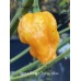 Scotch Bonnet Orange Yellow Pepper Seeds 