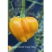 Scotch Bonnet Orange Yellow Pepper Seeds 