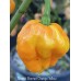 Scotch Bonnet Orange Yellow Pepper Seeds 