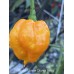 Scotch Bonnet Orange Yellow Pepper Seeds 