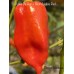 Jabba Du Hut x Bhut Jolokia Red Pepper Seeds 