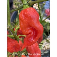 Jabba Du Hut x Bhut Jolokia Red Pepper Seeds 